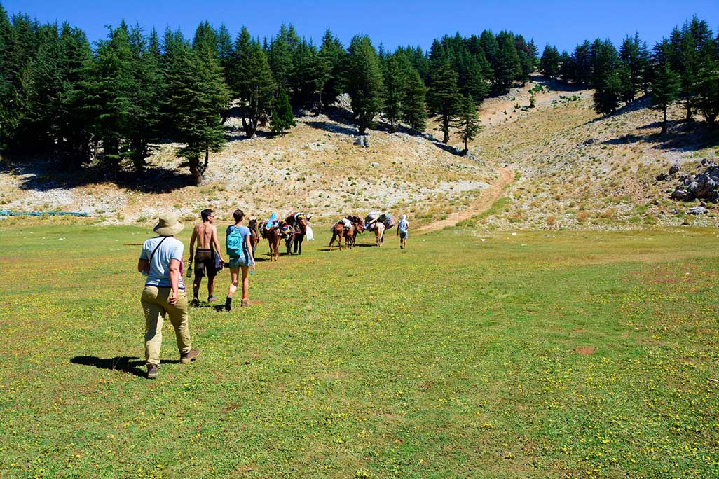 Pastures above 2000 meters covered with alpine graze suitable to feed sheep and goat herds