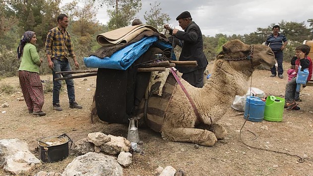 Anatolian Turkmen nomads at the state of loading the camels for the migration
