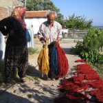 Natural-Dyed yarns are dried, Örselli village Manisa, Western Turkey, 2000s