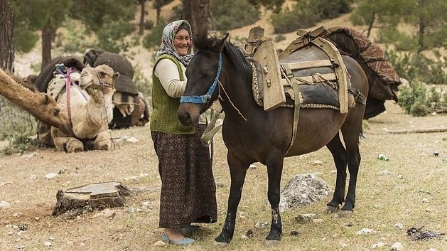 A Sarıkeçili tribeswoman holding the horse to be loaded