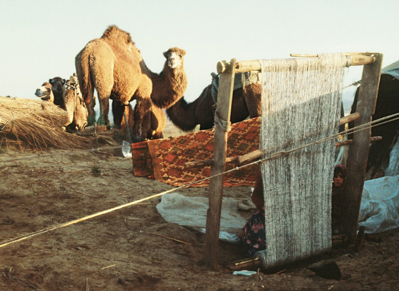 Sacikara Turkmen Encampment, a weaving activity goes on the loom, Kahramanmarash, Eastern Turkey, phoro courtesy, Josephine Powell, Suna Kıraç Fountation