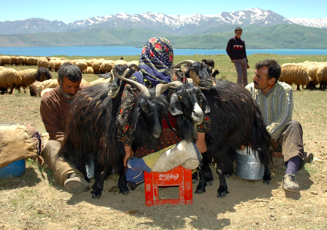 Kurdish tribespeople near Tatvan Eastern Turkey, 2006