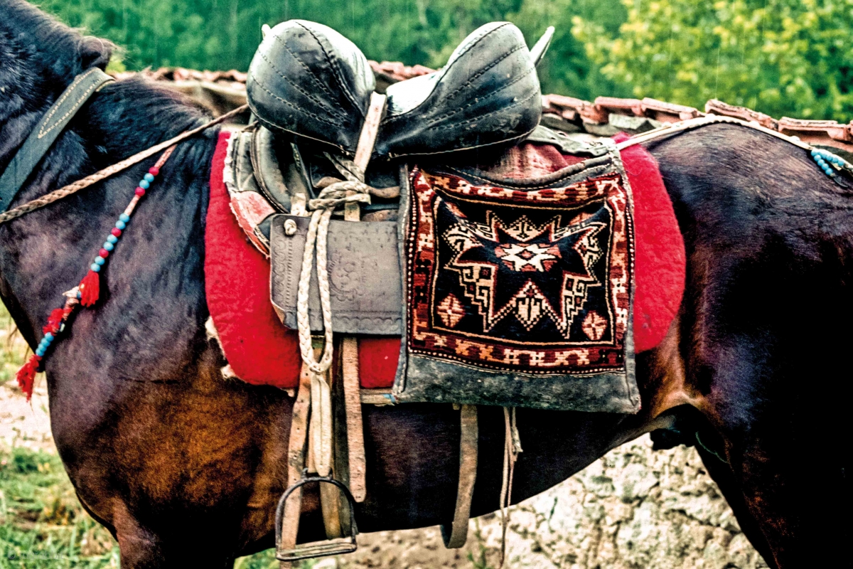 Heybe from pile carpet, placed ob the back of a horse. Yağcıbedir Turkmens, Bergama, Western Turkey early 1990s
