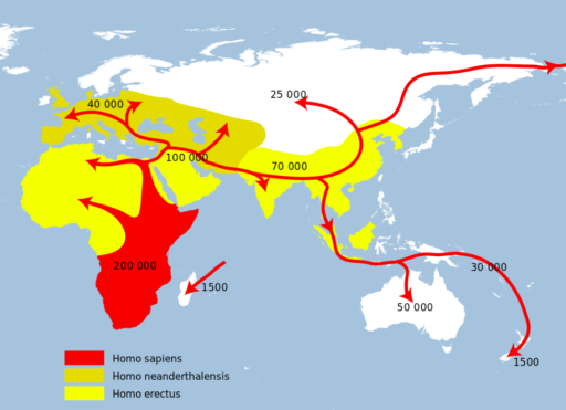 Homo Sapiens Migration Routes