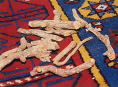Madder root ready to be ground on a carpet dyed with madder root. Örselli village, MAnisa, Western Turkey, 2007