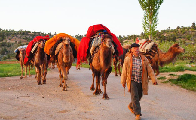 Perdeh textiles, put on the loaded camel and used as packing sheet during the migration, Sarıkeçili Tribe, Mersin Western Turkey, 2018