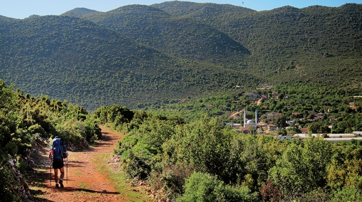Sea coastal hills of 700-1000 meters fo altitude, covered with Mediterranean bush forests 
