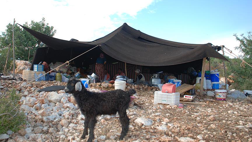 Sarıkeçili tribespeople in their winter camp, Mersin Southern Turkey, 2020