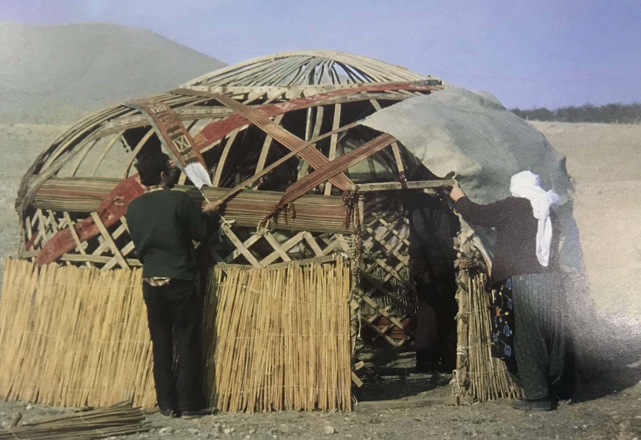 The tent frame fortified and attached with long tent bands, felt coverage of the tent put on the frame Bayat Tribe, Emirdag pasture, Afyon, West-Central Turkey, 1980s