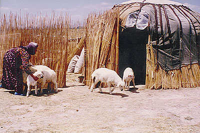 Bekdik Turkmens's felt tent, Niğde, Cental Turkey, 1980s, photo courtesy Josephine Powell, Suna Kıraç Foundation