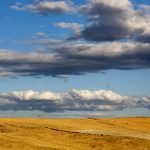 Nallihan plains, Ankara Turkey